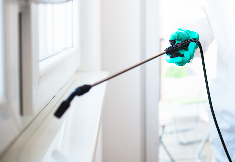 シロアリ予防・駆除 施工(5年間保証付き)